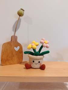 Plants: Happy Flowers Pot
