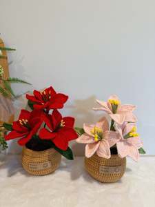 New Arrivals: Poinsettia Christmas Flower Pot