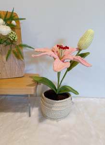 New Arrivals: Lily Pot