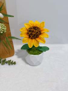 Mini Sunflower Garden in Pot