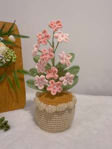 Flowers Blooming in Pot