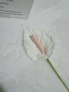 Crochet Floral Art: Peace Lily