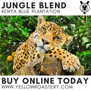 Products: Kenya Blue Plantation - The Yellow Roastery