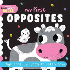 Books: My First Black & White Book - My First Opposites