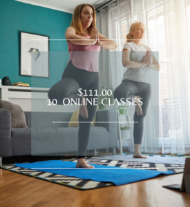 Products: For 10 Sessions