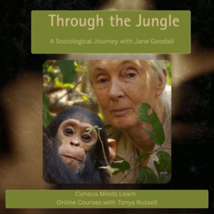 Products: Through the Jungle — A Sociological Journey with Jane Goodall