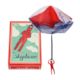 Traditional skydiver toy