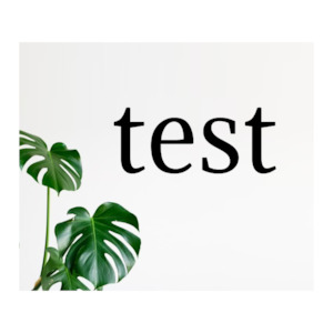 Custom Text Wall Decal