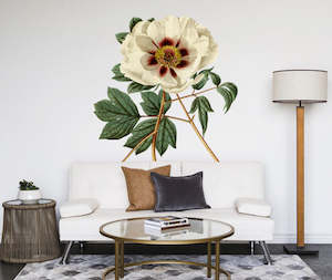 Floral Wall Decals: Single Flowered Moutan Wall Decal