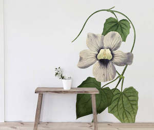 Blue Flowered Thunbergia Wall Decal