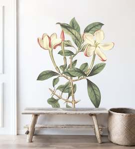 Floral Wall Decals: Crimson Tipped Gardenia Wall Decal