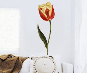 Floral Wall Decals: Claramond Tulip Wall Decal