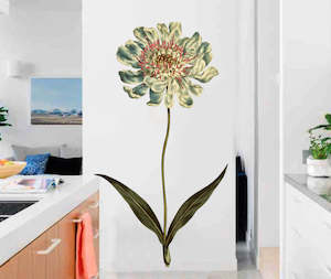 Floral Wall Decals: Caucasean Scabious Wall Decal