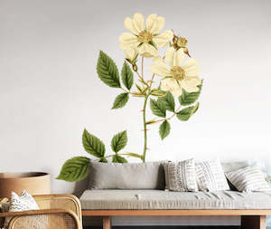 Floral Wall Decals: Ayrshire Rose Wall Decal