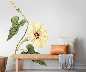 Fiddle Leaved Bindweed Wall Decal