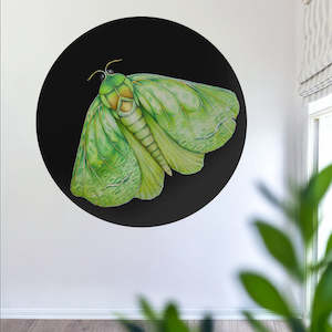 Mural Dots: Pūriri Moth