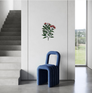 Flox: Pōhutukawa A2