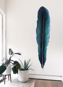 Black Friday Nz Made Day: Tui Feather Wall Decal