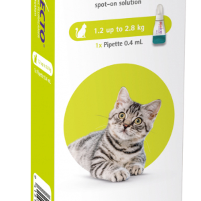 Products: Bravecto Cat - 1.2-2.8kg