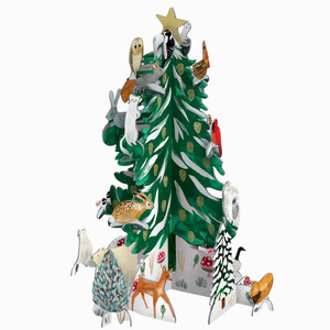 Advent Calendar | Pop & Slot | Christmas Conifer