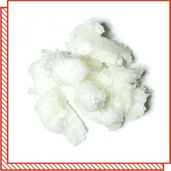 Zero Waste Pantry: Oils & Sauces