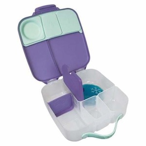 Large Bento Style Leakproof Lunch box for School or Kindy Lilac Pop