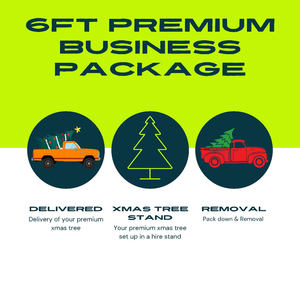Business Package 6ft Xmas Tree, Delivery, Set up & Removal - Auckland Wide