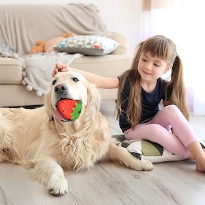 Dog Treat Toy Strawberry