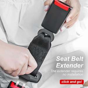 Under 10: Seat Belt Extension Plug