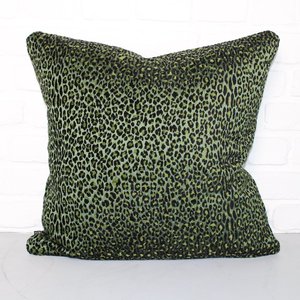 Kilimanjaro: Leopardo | Palm Leaf