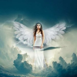 Products: Angel Wings Fragrance Oil » Zen Aroma