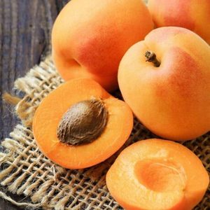 Products: Apricot Fragrance Oil » Zen Aroma