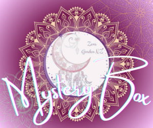 Carvings 1: Intuitive Mystery Box