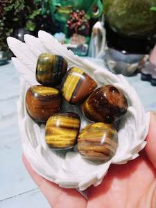 🐯👁️Tigers Eye Tumbles