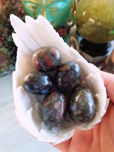 Tumbles: 💙💗Que Sera Tumbles