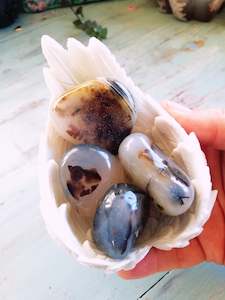 Tumbles: 🖤Large Dendritic Agate Tumbles