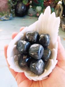 Tumbles: 🖤Larvikite