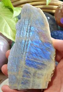 Slices: Blue Flash Moonstone Slice