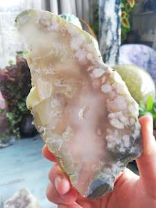 Slices: 🌸Cherry Blossom Slice #9