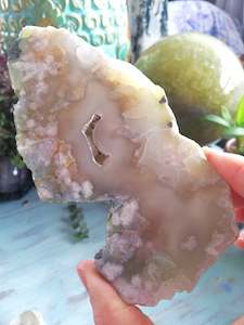 Slices: 🌸Cherry Blossom Slice #7