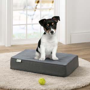 Living: Memory Foam Pet Bed - Small
