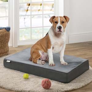 Deals: Memory Foam Pet Bed - Large