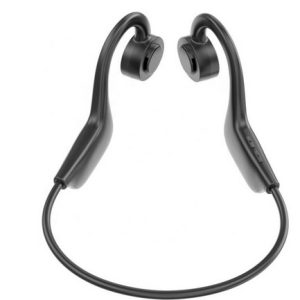 Products: Earphones