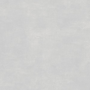 Products: Imperial Grey 600 600 Tile