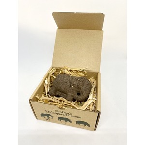 ZooDoo Endangered Faeces Single Elephant
