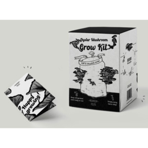 Gardening: Oyster Mushroom Mini Farm