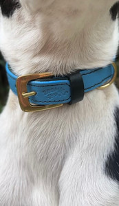 Products: The Aroha Zoomies