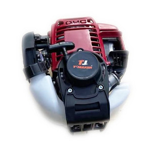 Products: 4 stroke petrol motor Zuma Direct